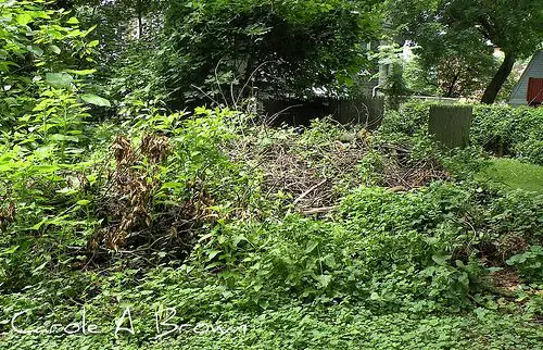Creating a Brush Pile