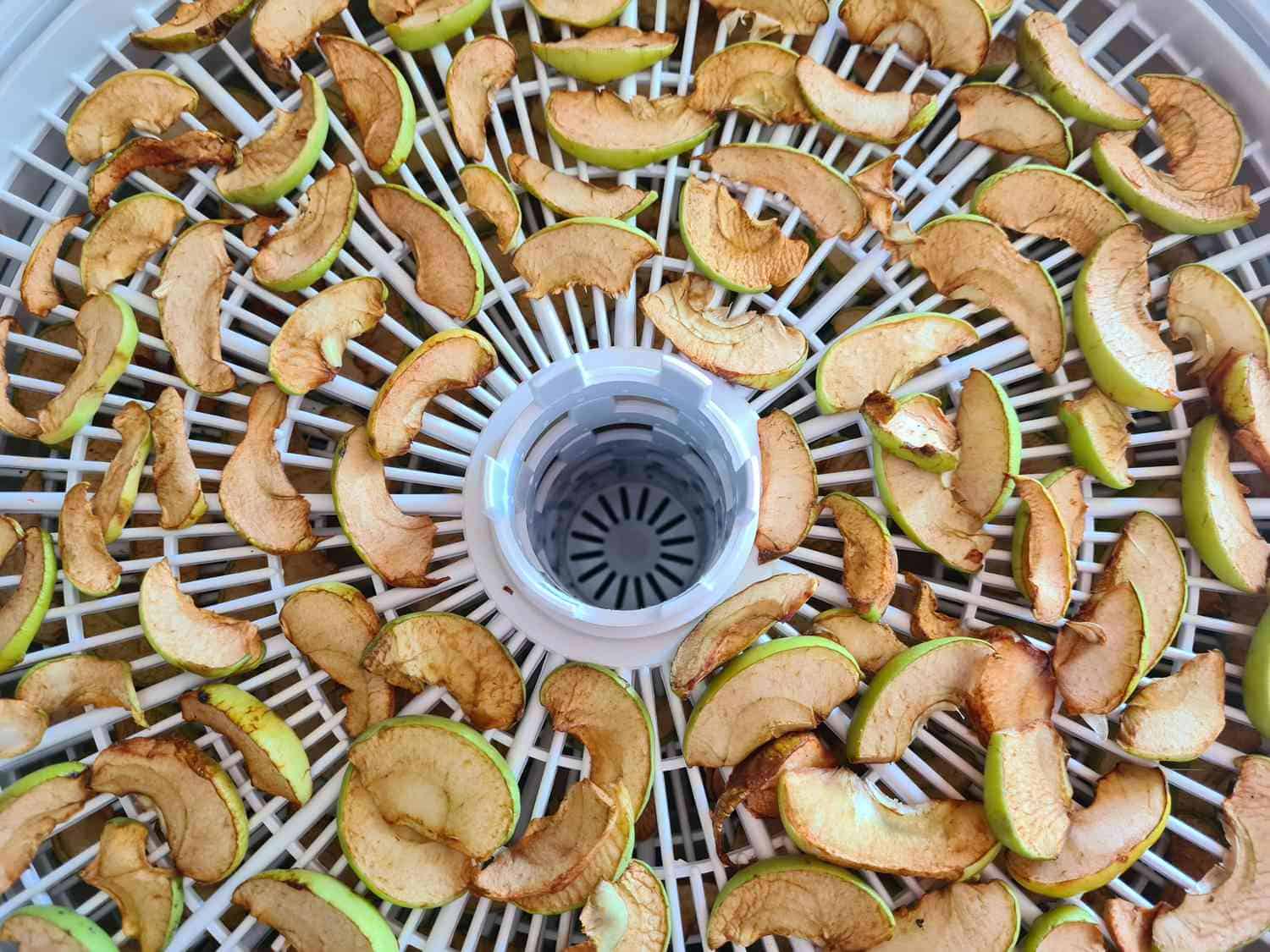 Food Dehydrator Method