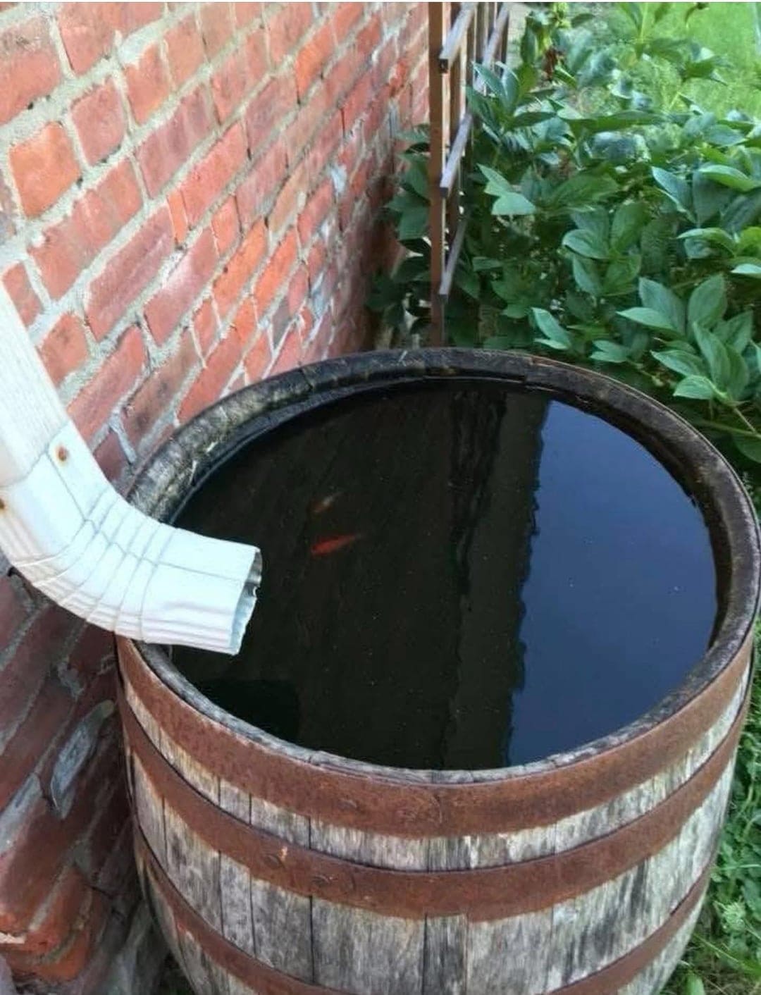 Ideal Barrel Placement for Fish Health
