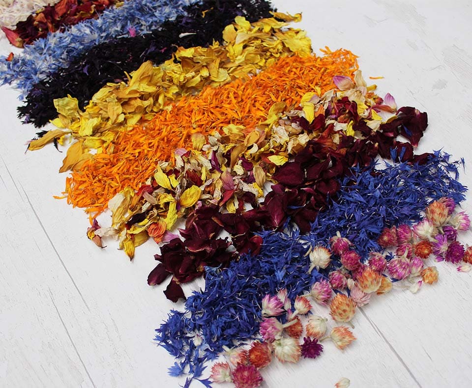 dried flowers
