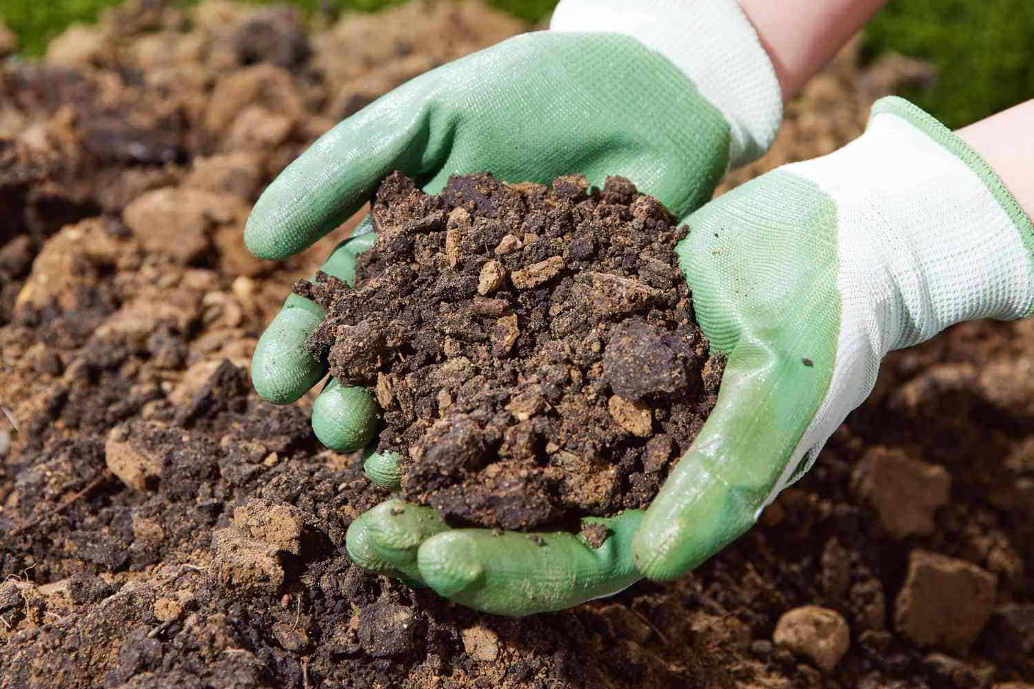 Clay Soil