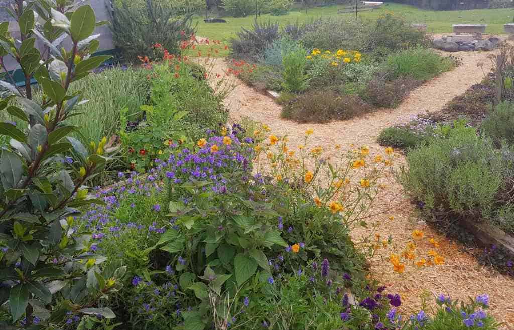 Connect garden beds with mulched pathways