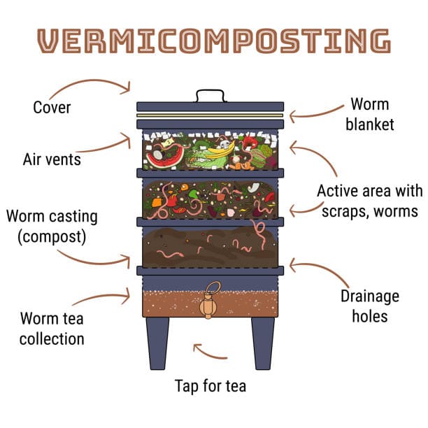 Creating a worm bin