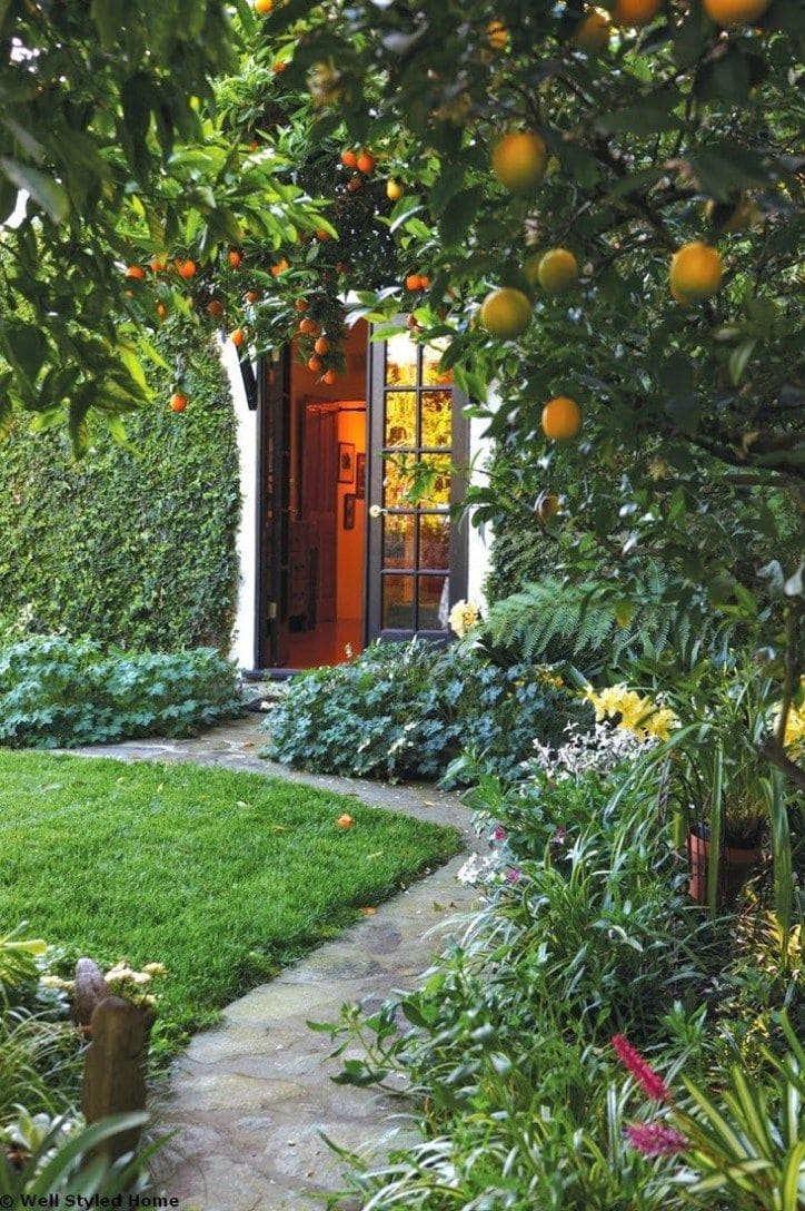 Fruit trees in garden