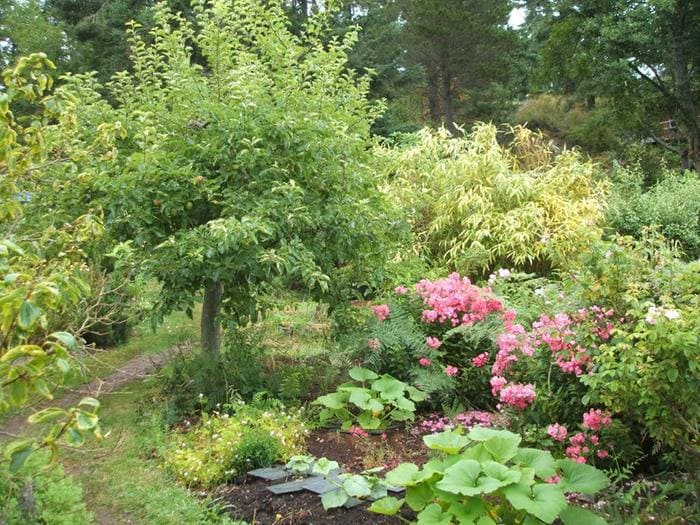 Garden Harmony