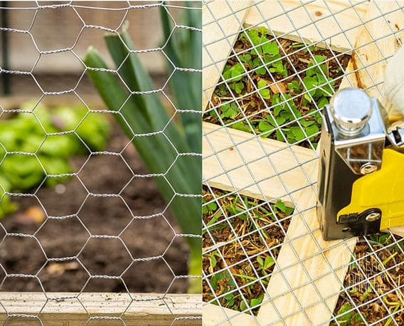 Hardware cloth vs. chicken wire