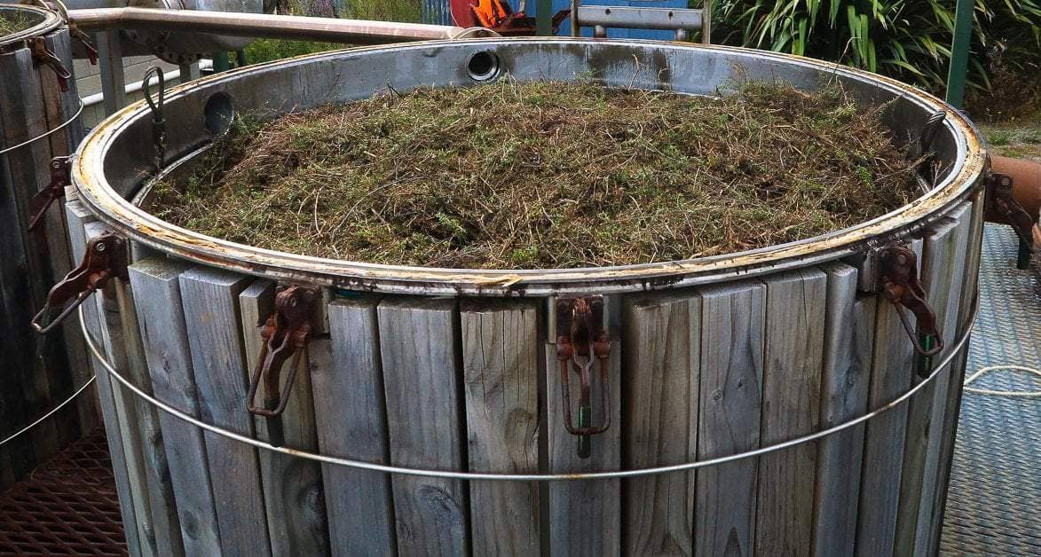 Manuka Oil Production