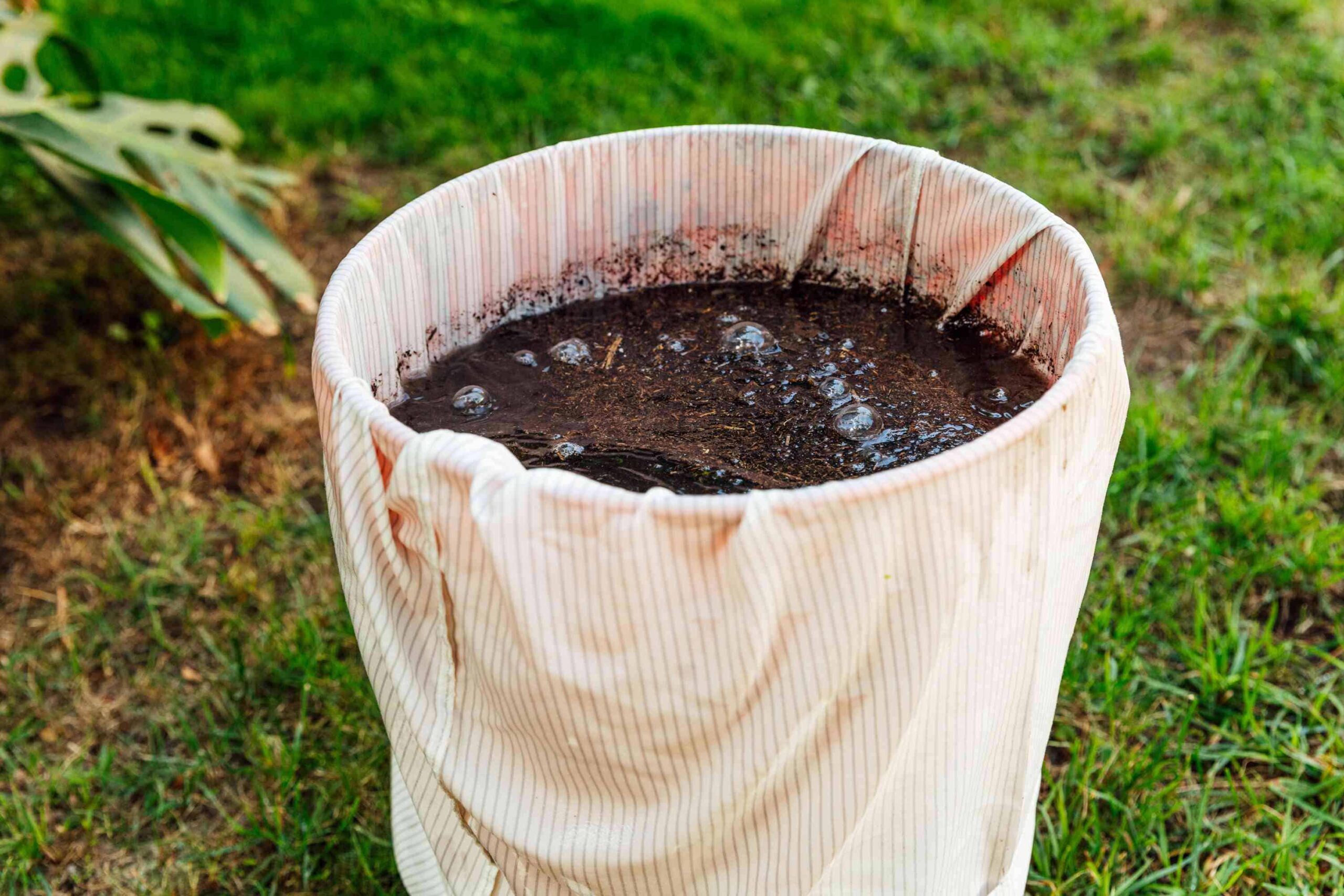 Manure Tea