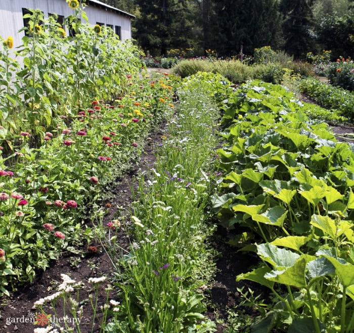 Polyculture Garden