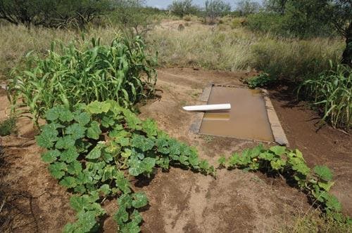 Rainwater Harvesting