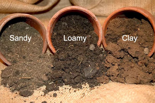 Soil Types