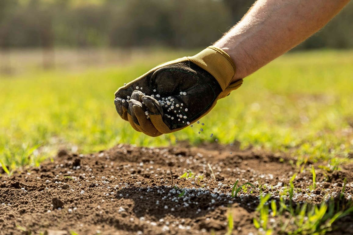 Synthetic Fertilizers