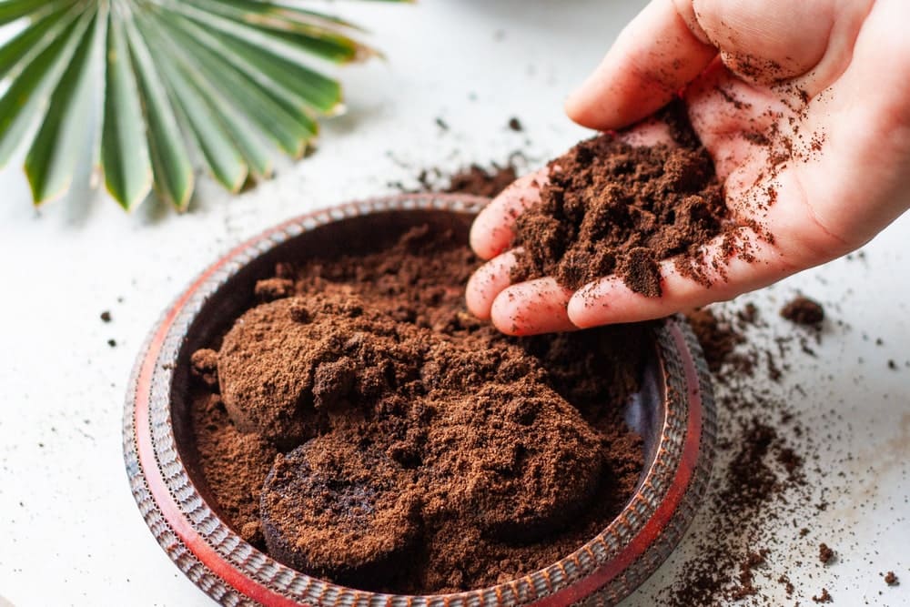 The Coffee Grounds