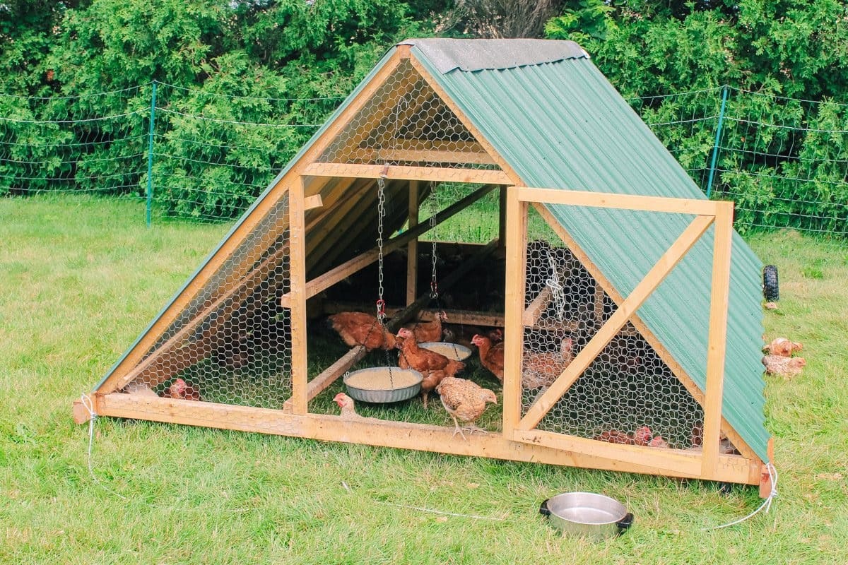 The Mobile Chicken Tractor