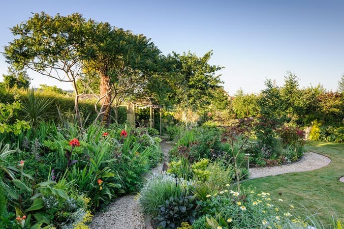 garden pathway with identical plantings on side