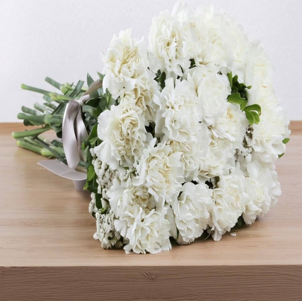 Carnations (Claveles)