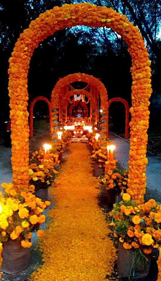 Floral arches