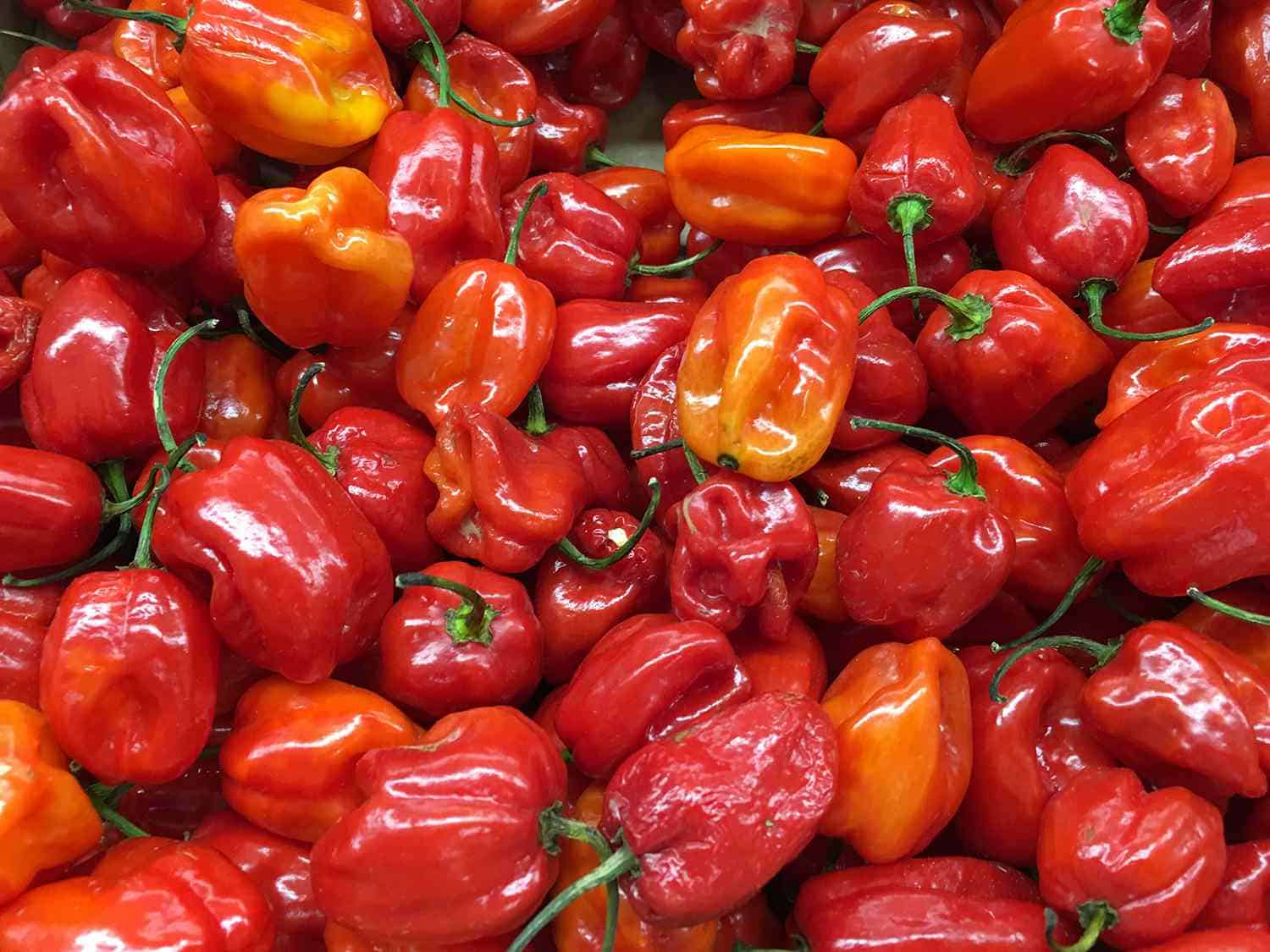 Habaneros