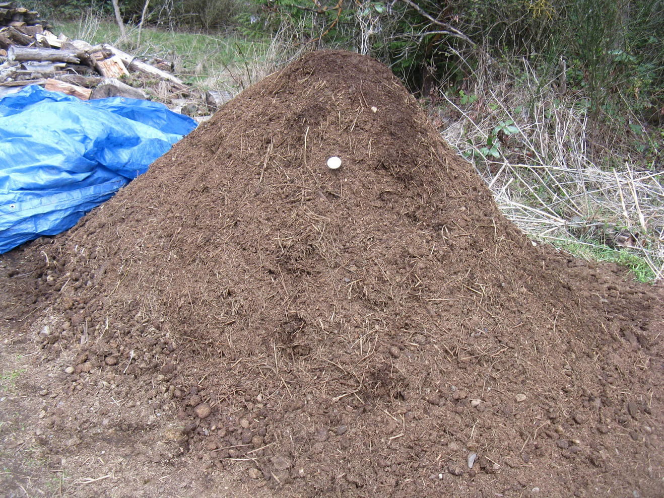 Healthy sawdust composting