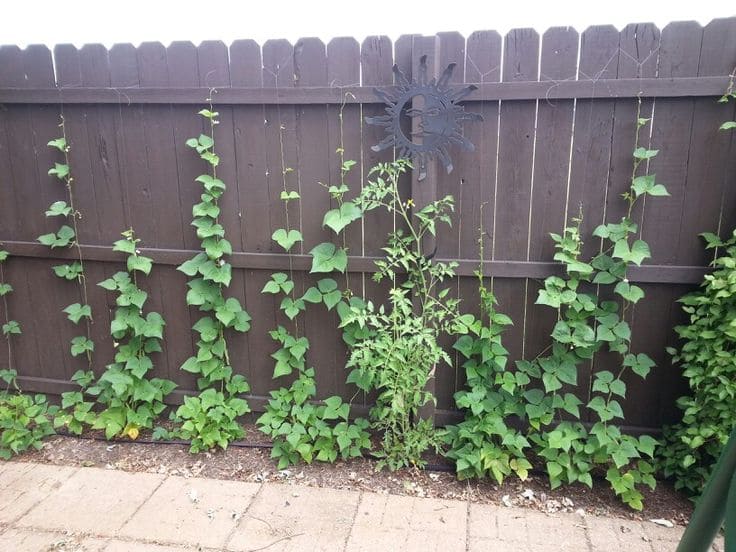 Living Fence Integration