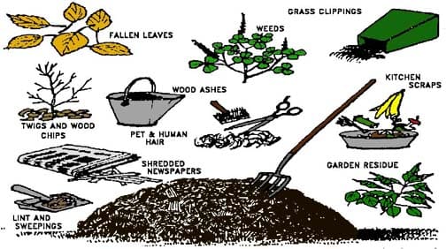 Nitrogen Sources