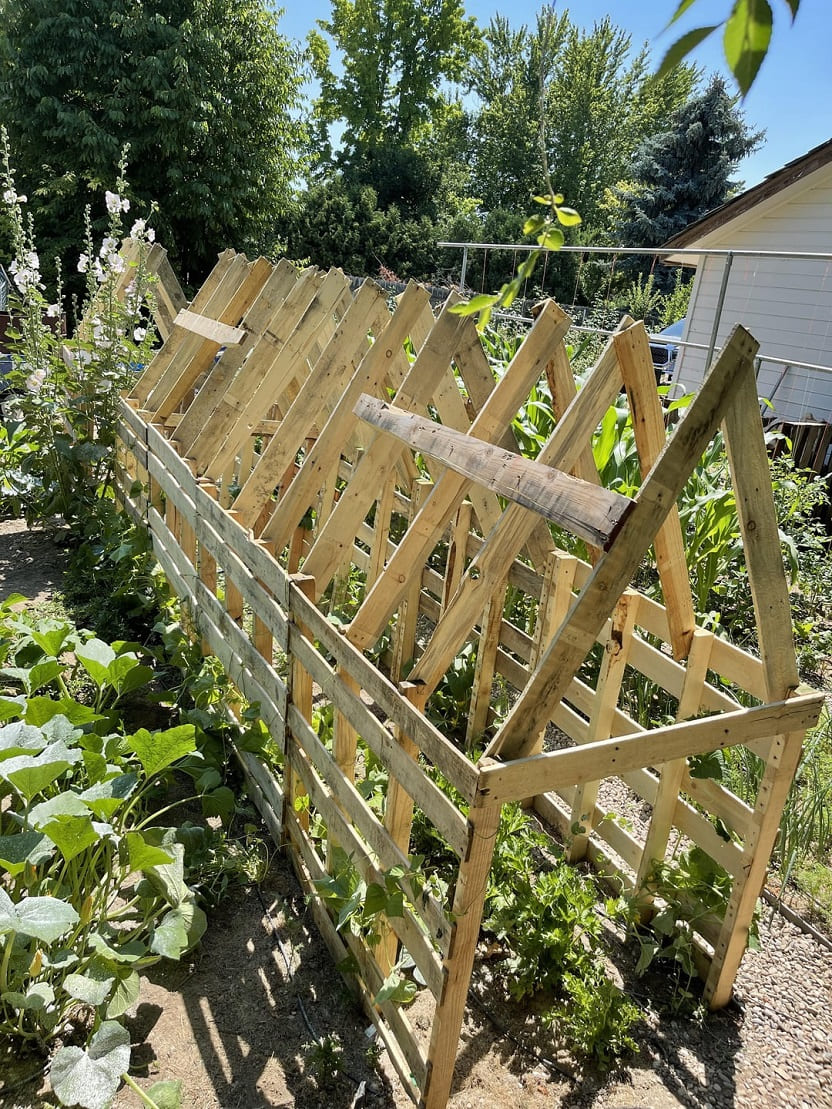 Pallet Trellis Systems