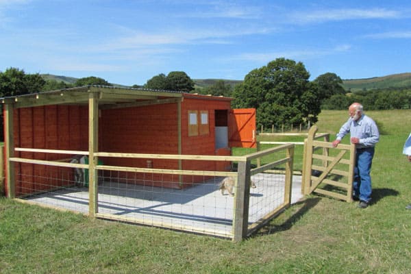 Pygmy goats housing