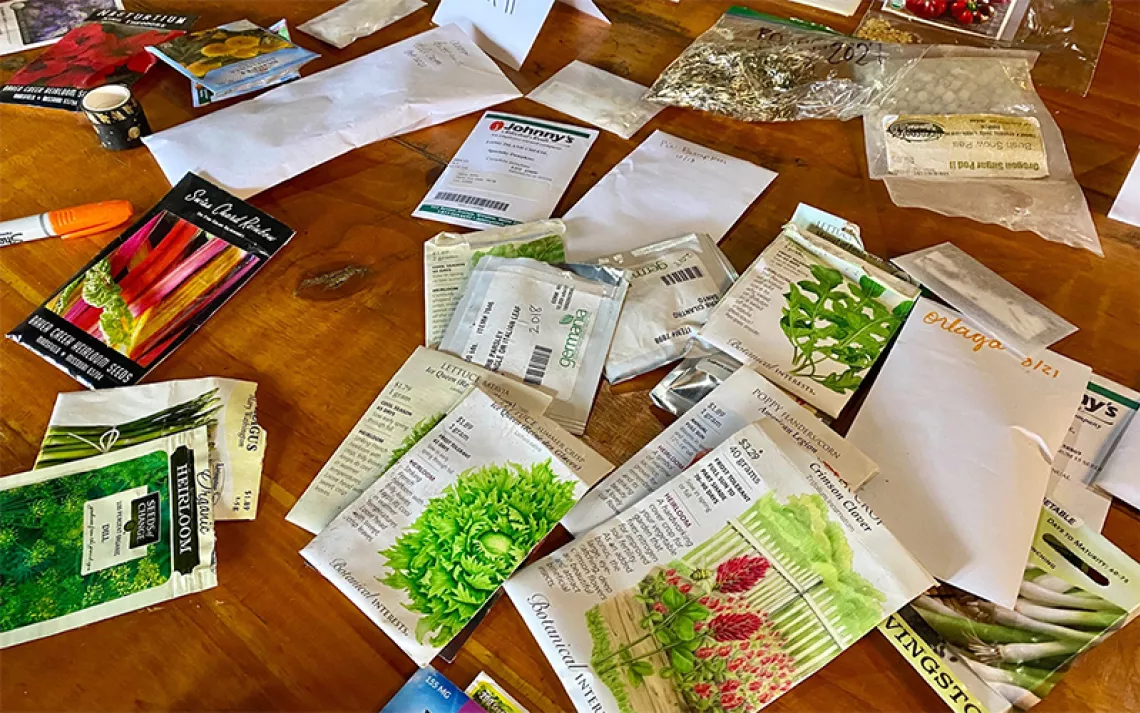 Seed swaps