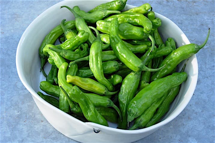 Shishito Peppers