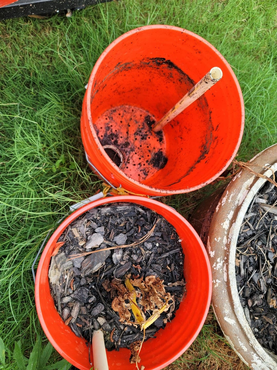 Soil for growing potatoes in buckets