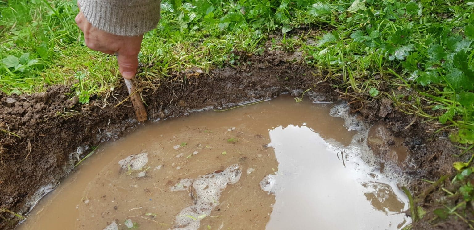 The Drainage Test