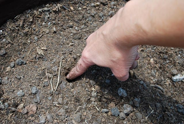 The Finger Test