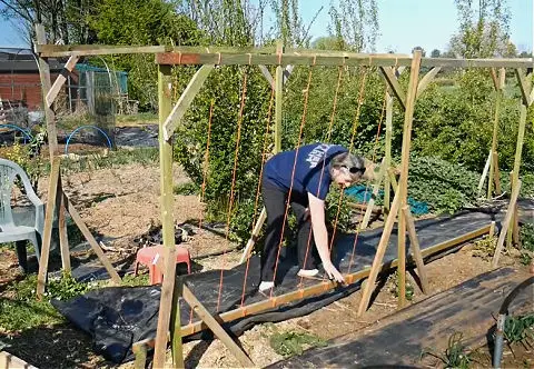 The Harp Support System