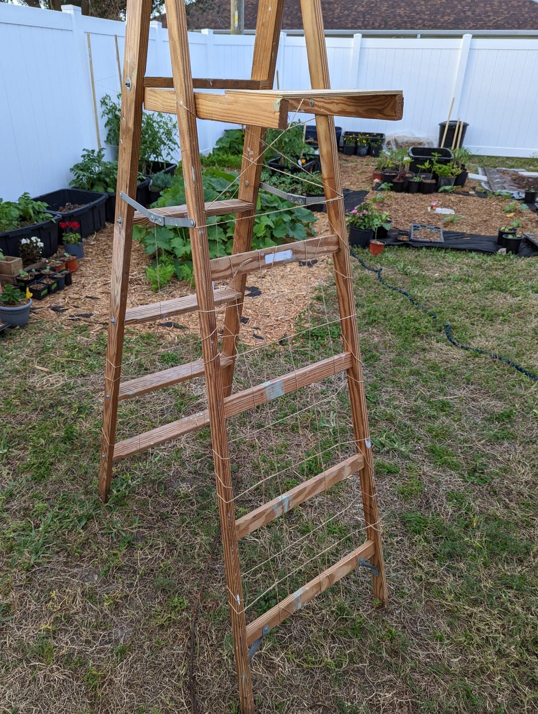The Ladder Trellis