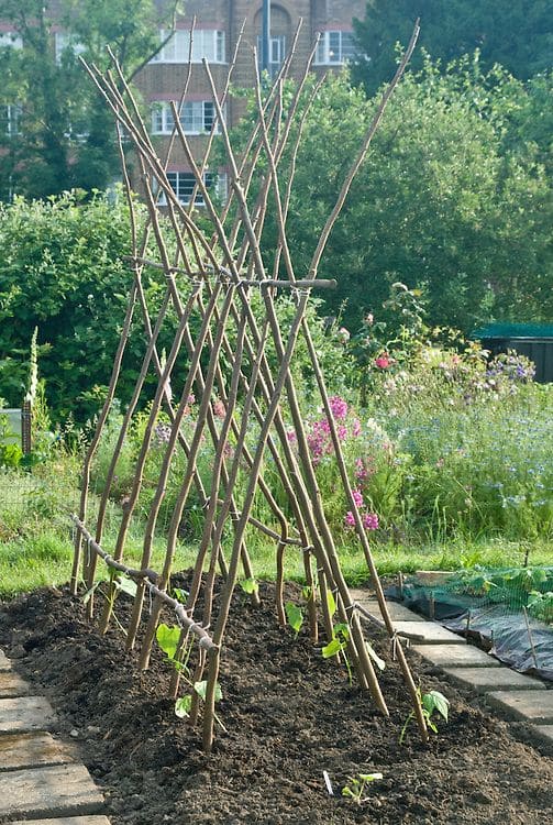 The X-Frame Alternative