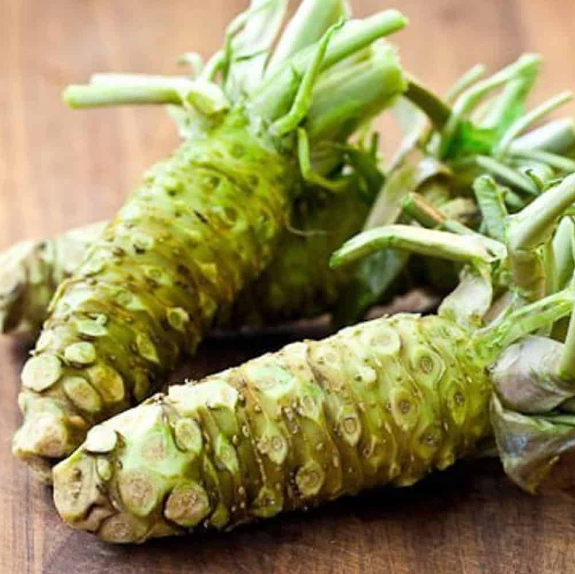 Wasabi (Eutrema japonicum)