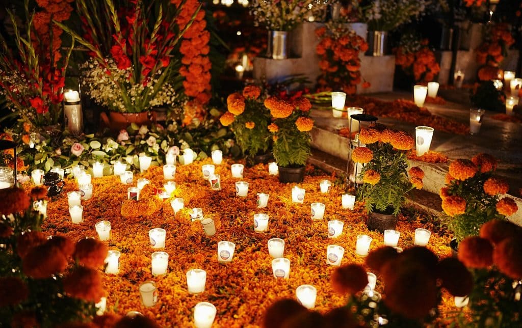 creating petal pathways