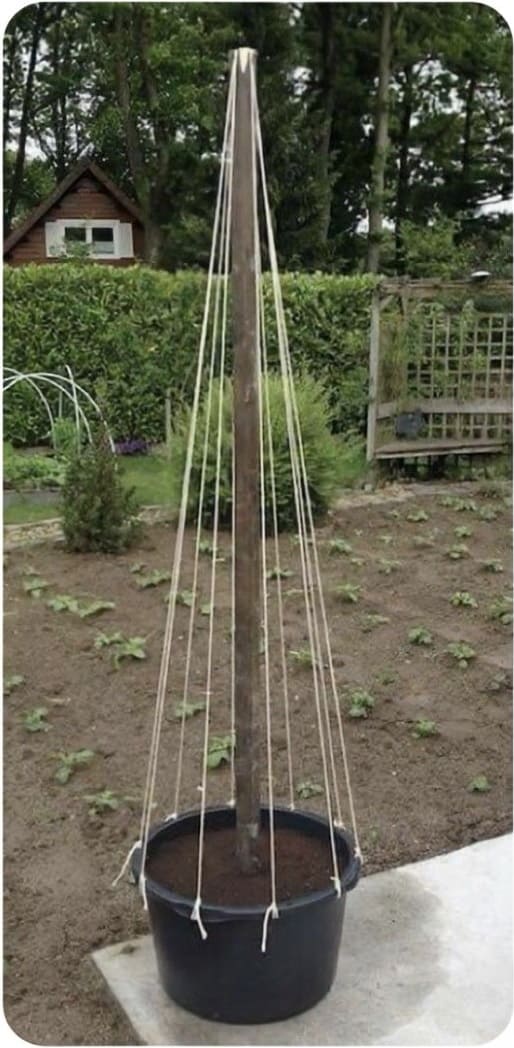 tower supports using tall central poles with radiating strings or wires