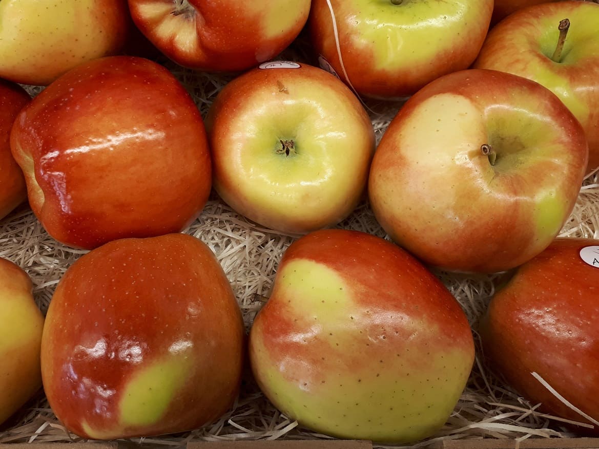 Ambrosia apple