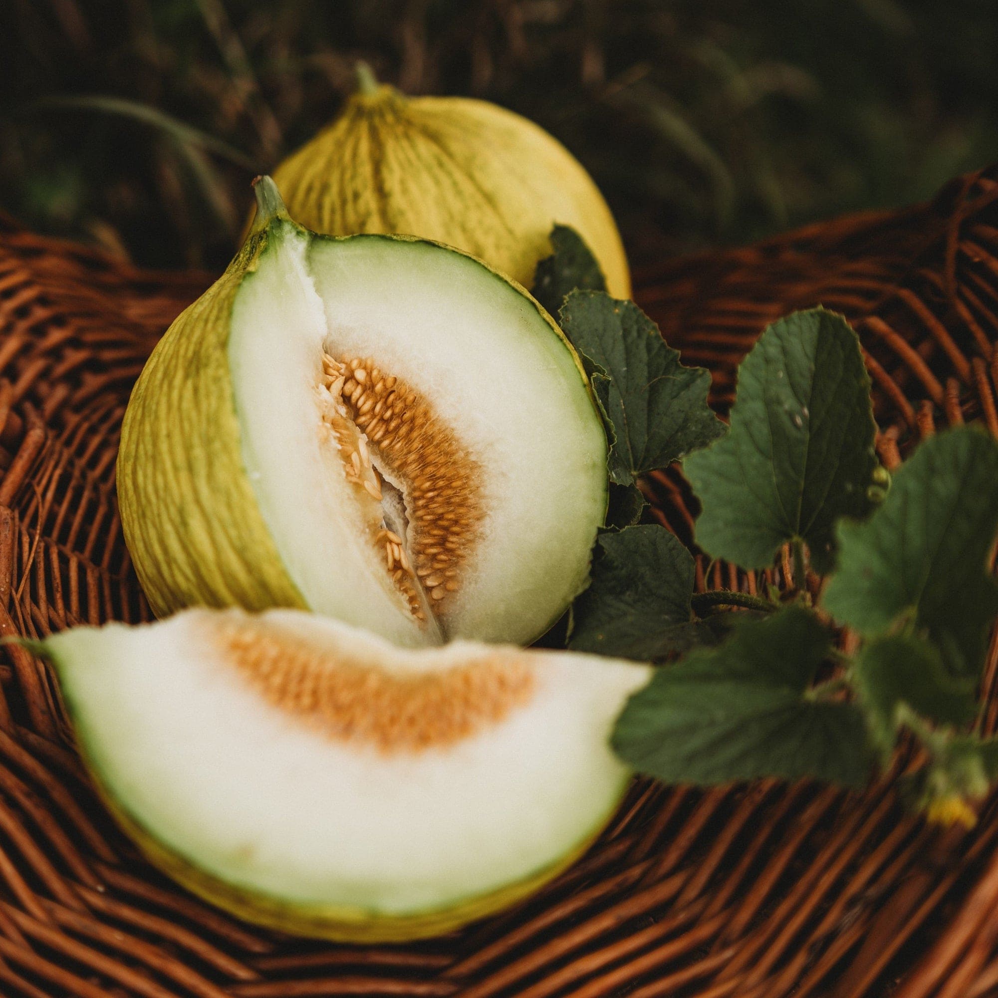 Casaba melon