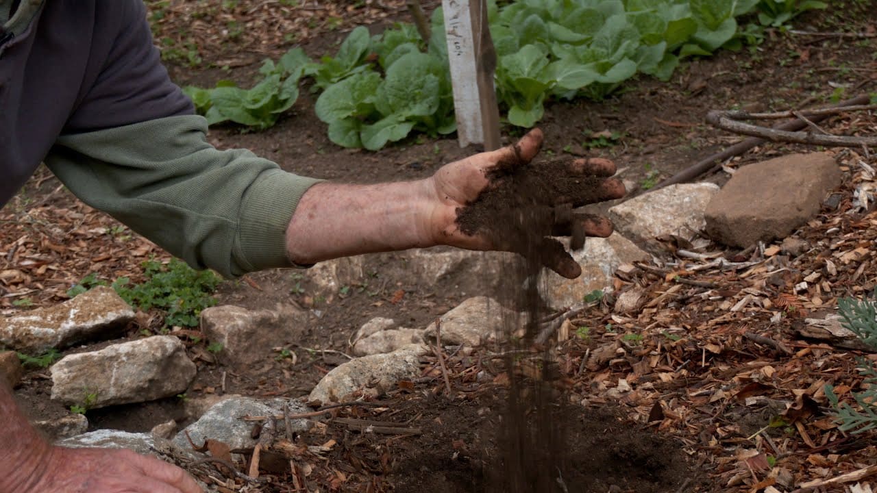 Check soil moisture