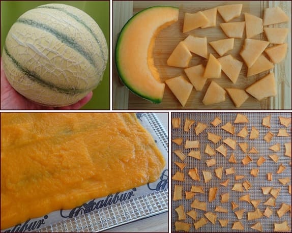 Dehydrating Melons