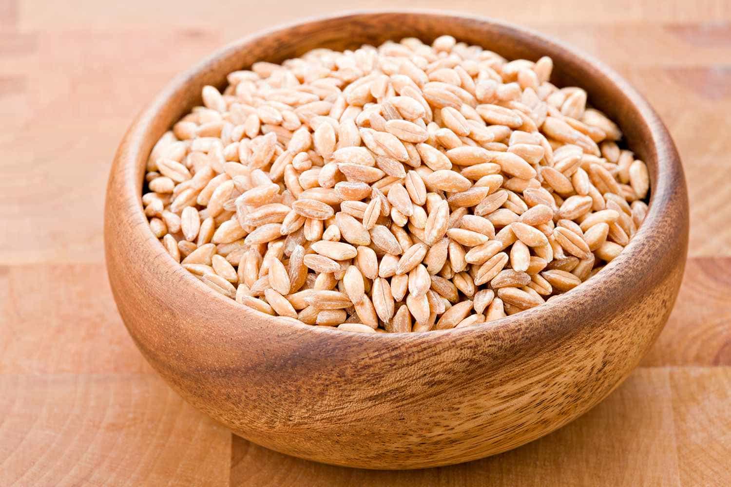 Farro seeds