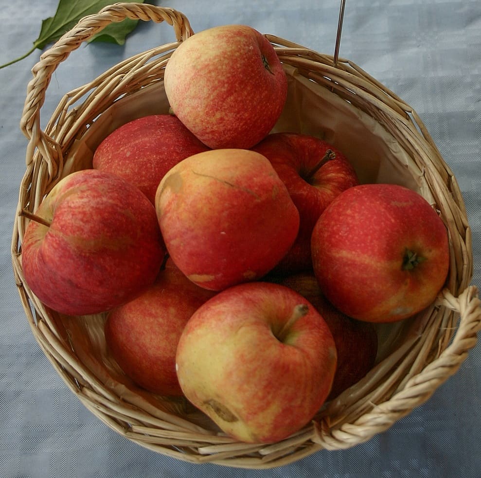 Gala apple