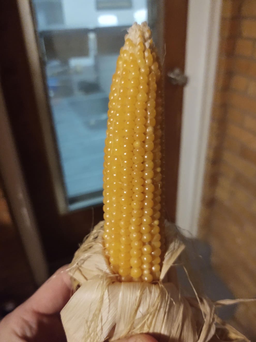 Home Grown Popcorn