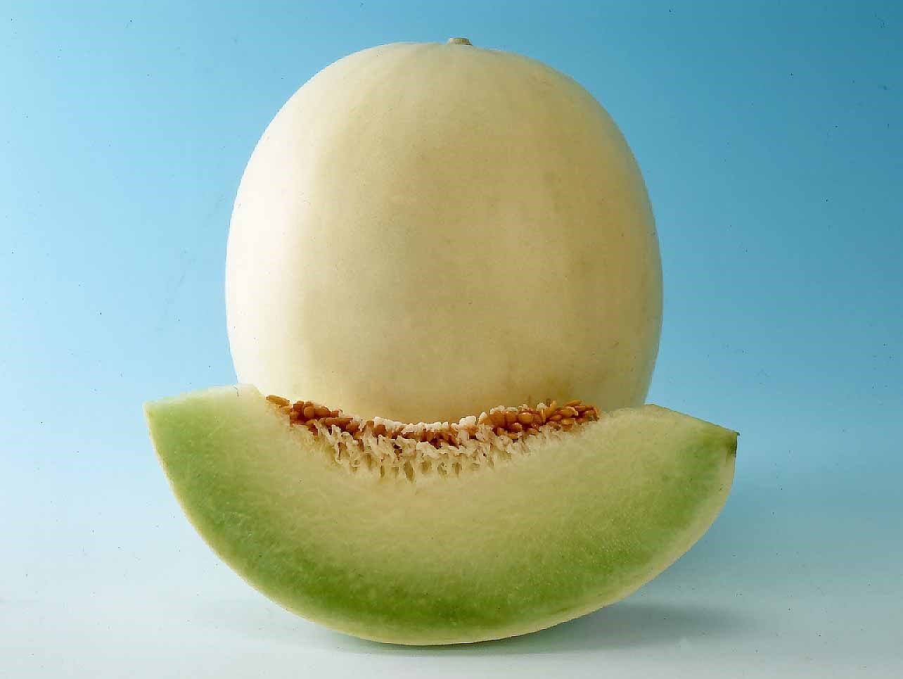 Honey Globe melon