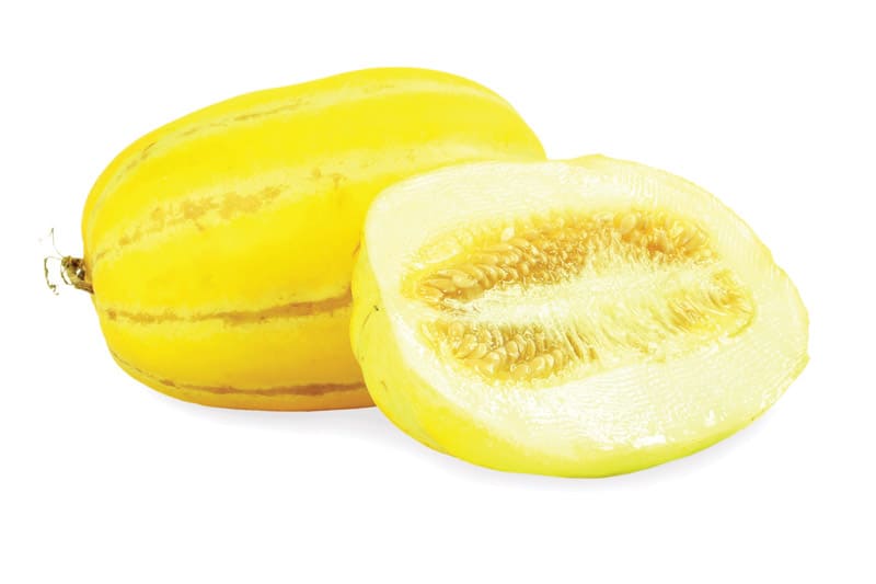 Korean Melon
