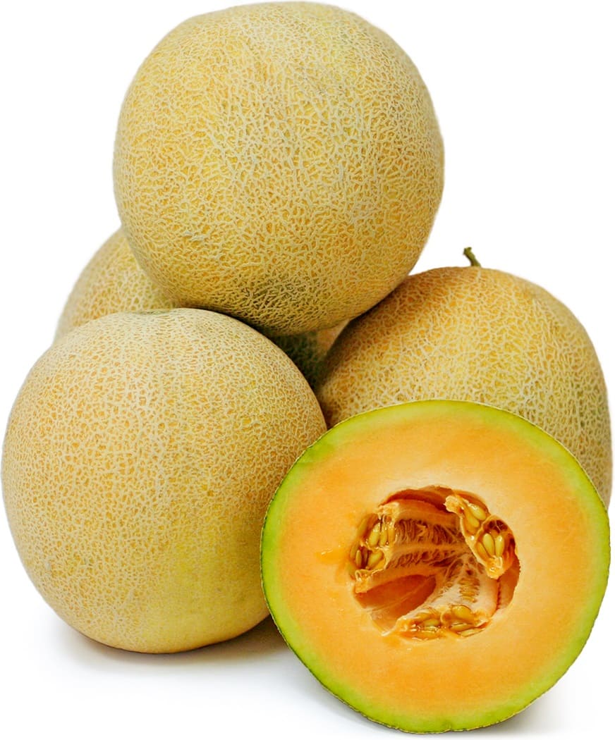 Persian melon