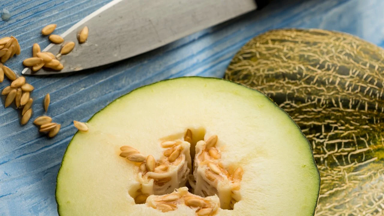 Santa Claus melon