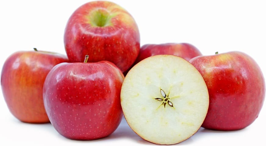 SnapDragon Apple